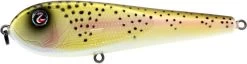 River2Sea ICBM 120 Hard Stickbait/Glidebait 16 River2Sea ICBM 120 Hard Stickbait/Glidebait -Hot Sale Angling Store 01LiteTrout 73901c30 abdc 4da8 9afc 3d6fba96080a