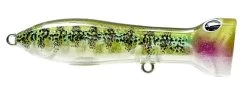Nomad Design Chug Norris Freshwater/Inshore Popper 26 Nomad Design Chug Norris Freshwater/Inshore Popper -Hot Sale Angling Store 12674578841655