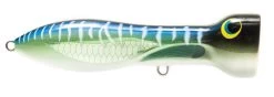 Nomad Design Chug Norris Freshwater/Inshore Popper 35 Nomad Design Chug Norris Freshwater/Inshore Popper -Hot Sale Angling Store 12674579234871