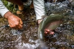 Temple Fork Outfitters Trout-Panfish Spinning Rods 22 Temple Fork Outfitters Trout-Panfish Spinning Rods -Hot Sale Angling Store 21122588 1612726152092001 5893757740725659703 o