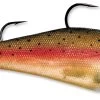 Storm WildEye Swim Shad 9 Inch Paddle Tail Swimbait 1 Storm WildEye Swim Shad 9 Inch Paddle Tail Swimbait -Hot Sale Angling Store 31310881390681