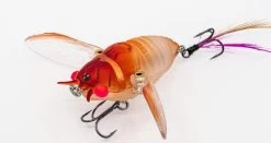 Chasebaits Ripple Cicada 1 3/4 Inch Wakebait Crawler 14 Chasebaits Ripple Cicada 1 3/4 Inch Wakebait Crawler -Hot Sale Angling Store 32233146941529