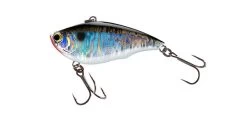Yo-Zuri Rattl'N Vibe 3/8 Oz. Lipless Crankbait 25 Yo-Zuri Rattl'N Vibe 3/8 Oz. Lipless Crankbait -Hot Sale Angling Store 32244696023129