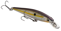 Strike King KVD 100 Series Suspending Shallow Jerkbait 30 Strike King KVD 100 Series Suspending Shallow Jerkbait -Hot Sale Angling Store 32272586604633