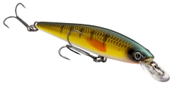 Strike King KVD 100 Series Suspending Shallow Jerkbait 31 Strike King KVD 100 Series Suspending Shallow Jerkbait -Hot Sale Angling Store 32272586637401