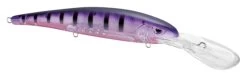 SPRO MadEye Minnow 120 Deep Diving Walleye Trolling Lure 26 SPRO MadEye Minnow 120 Deep Diving Walleye Trolling Lure -Hot Sale Angling Store 32339518750809