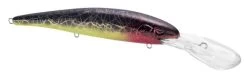 SPRO MadEye Minnow 120 Deep Diving Walleye Trolling Lure 31 SPRO MadEye Minnow 120 Deep Diving Walleye Trolling Lure -Hot Sale Angling Store 32339518914649