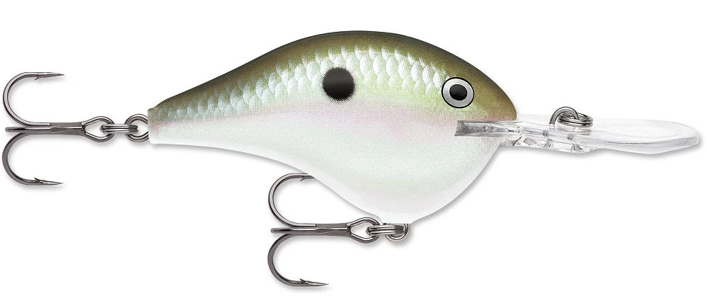 Rapala DT Series Crankbait DT8 19 Rapala DT Series Crankbait DT8 - Image 17