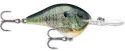 Rapala DT Series Crankbait DT8 41 Rapala DT Series Crankbait DT8 -Hot Sale Angling Store 39639347658841