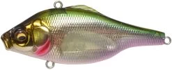 Megabass Vibration-X Ultra Rattle Lipless Crankbait 21 Megabass Vibration-X Ultra Rattle Lipless Crankbait -Hot Sale Angling Store 39865397674073
