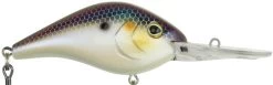 Berkley Dredger Deep Diving Crankbait Deeper Diving Models 32 Berkley Dredger Deep Diving Crankbait Deeper Diving Models -Hot Sale Angling Store 40325002985561