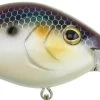 Berkley Dredger Deep Diving Crankbait Deeper Diving Models 1 Berkley Dredger Deep Diving Crankbait Deeper Diving Models -Hot Sale Angling Store 40325003018329