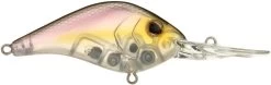 Berkley Dredger Deep Diving Crankbait Deeper Diving Models 38 Berkley Dredger Deep Diving Crankbait Deeper Diving Models -Hot Sale Angling Store 40325003214937