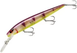 Smithwick Top 20 Rogue 5 1/2 Inch Extra Deep Diving Trolling Minnow/Jerkbait 19 Smithwick Top 20 Rogue 5 1/2 Inch Extra Deep Diving Trolling Minnow/Jerkbait -Hot Sale Angling Store ADRD5289