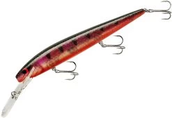 Smithwick Top 20 Rogue 5 1/2 Inch Extra Deep Diving Trolling Minnow/Jerkbait 14 Smithwick Top 20 Rogue 5 1/2 Inch Extra Deep Diving Trolling Minnow/Jerkbait -Hot Sale Angling Store ADRD5294