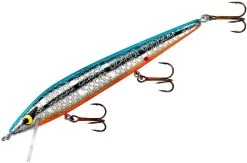 Smithwick Suspending Rattlin' Rogue 4 1/2 Inch Jerkbait/Trolling Minnow 12 Smithwick Suspending Rattlin' Rogue 4 1/2 Inch Jerkbait/Trolling Minnow -Hot Sale Angling Store ASDRB1232OB
