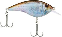 Berkley Frittside Shallow Diving Flat Sided Crankbait 30 Berkley Frittside Shallow Diving Flat Sided Crankbait -Hot Sale Angling Store Berkley Frittside HDBluebackHerring 5Biggun alt2 2000