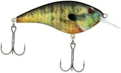 Berkley Frittside Shallow Diving Flat Sided Crankbait 31 Berkley Frittside Shallow Diving Flat Sided Crankbait -Hot Sale Angling Store Berkley Frittside HDBluegill 5Biggun alt2 2000