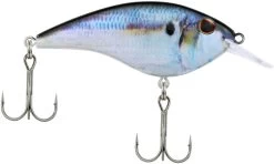 Berkley Frittside Shallow Diving Flat Sided Crankbait 34 Berkley Frittside Shallow Diving Flat Sided Crankbait -Hot Sale Angling Store Berkley Frittside HDThreadfinShad 5Biggun alt2 2000
