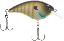Berkley Frittside Shallow Diving Flat Sided Crankbait 38 Berkley Frittside Shallow Diving Flat Sided Crankbait -Hot Sale Angling Store Berkley Frittside MF Bluegill 5 2019 alt2 2000