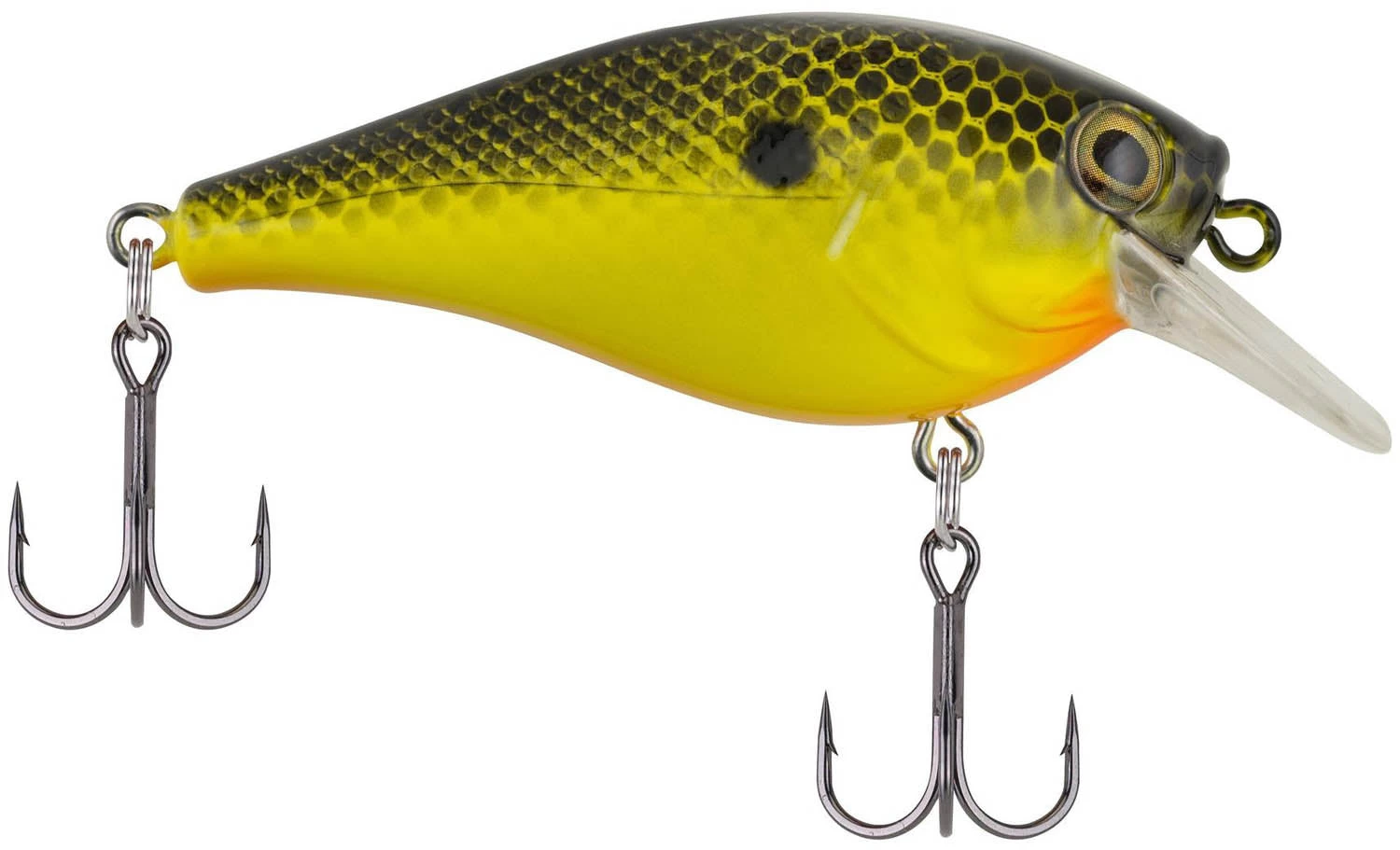 Berkley SquareBull 2 3/8 Inch Shallow Squarebill Crankbait 16 Berkley SquareBull 2 3/8 Inch Shallow Squarebill Crankbait - Image 14