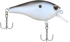 Berkley SquareBull 2 3/8 Inch Shallow Squarebill Crankbait 36 Berkley SquareBull 2 3/8 Inch Shallow Squarebill Crankbait -Hot Sale Angling Store Berkley Squarebull BlueShad 55 alt2 2000
