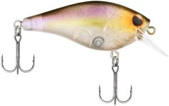 Berkley SquareBull 2 3/8 Inch Shallow Squarebill Crankbait 39 Berkley SquareBull 2 3/8 Inch Shallow Squarebill Crankbait -Hot Sale Angling Store Berkley Squarebull GhostMorningDawn 55 alt2 2000