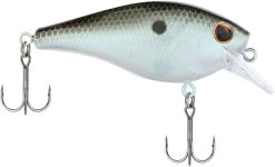 Berkley SquareBull 2 3/8 Inch Shallow Squarebill Crankbait 41 Berkley SquareBull 2 3/8 Inch Shallow Squarebill Crankbait -Hot Sale Angling Store Berkley Squarebull GreenShad 35 alt2 2000