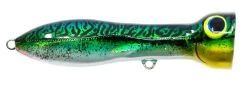 Nomad Design Chug Norris Freshwater/Inshore Popper 39 Nomad Design Chug Norris Freshwater/Inshore Popper -Hot Sale Angling Store CHUG95 SGM