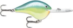 Rapala DT Series Crankbait DT Metal 20 25 Rapala DT Series Crankbait DT Metal 20 -Hot Sale Angling Store Carribean Shad 976175bd 013c 4951 be31 93e8e1c52f8c