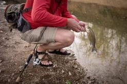 Temple Fork Outfitters Trout-Panfish Spinning Rods 24 Temple Fork Outfitters Trout-Panfish Spinning Rods -Hot Sale Angling Store DSC04055 IG