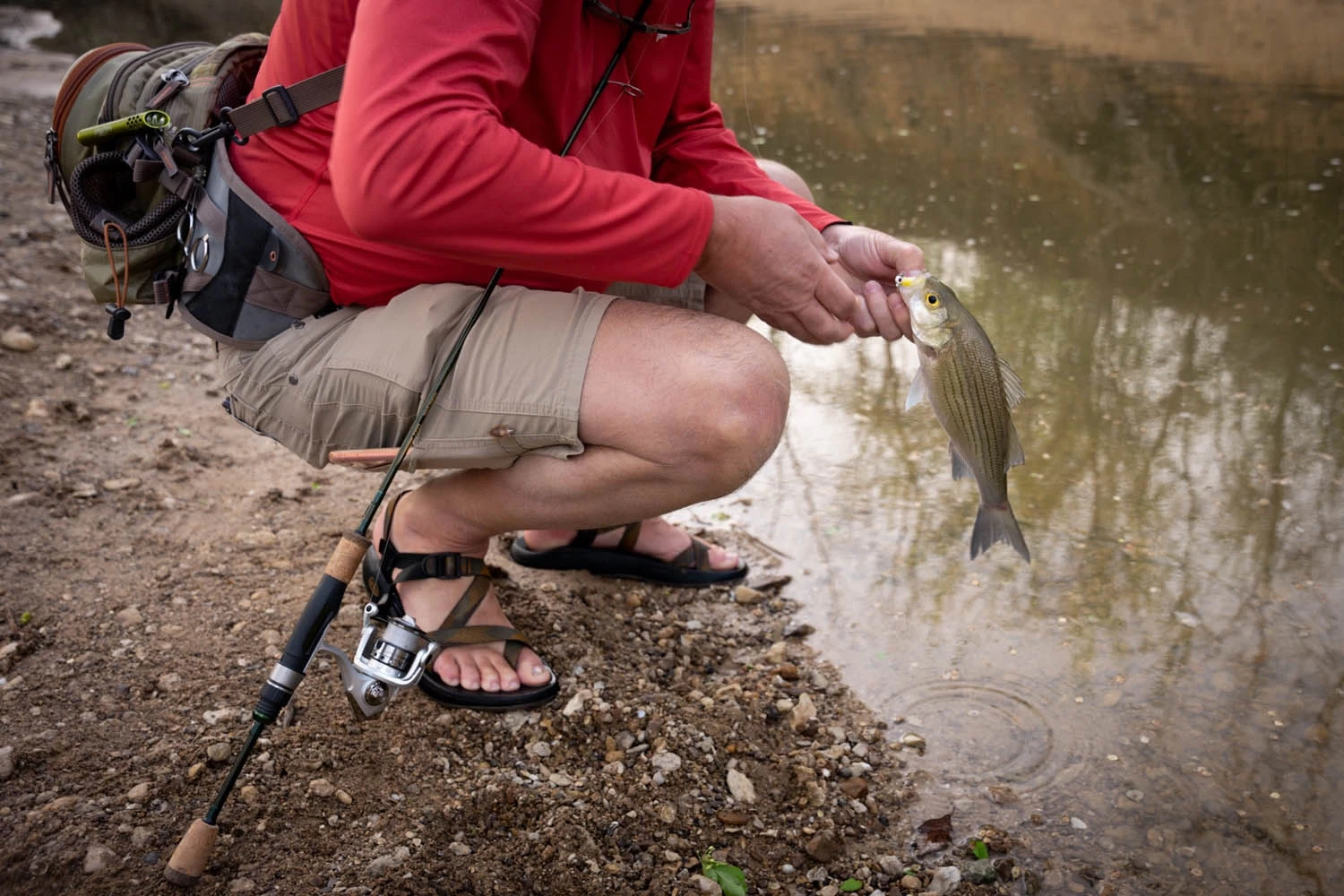 Temple Fork Outfitters Trout-Panfish Spinning Rods 12 Temple Fork Outfitters Trout-Panfish Spinning Rods - Image 10