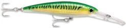 Rapala X-Rap Magnum 10 Big Game Slash Bait -Hot Sale Angling Store Gold Green Mackeral cda7cfa8 a69f 4924 bf1b 2fa9de168d74