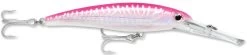 Rapala X-Rap Magnum 15 Big Game Slash Bait 29 Rapala X-Rap Magnum 15 Big Game Slash Bait -Hot Sale Angling Store Hot Pink UV dcd027df 4fc6 46e7 ad9b d30b1d6099a2