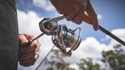 Daiwa Procyon MQ LT Spinning Reel -Hot Sale Angling Store Procyon1Spot