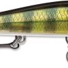 Rapala RipStop 12 Jerkbait 1 Rapala RipStop 12 Jerkbait -Hot Sale Angling Store RPS12 PEL