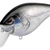 SPRO Hunter 65 SB Shallow Squarebill Crankbait 1 SPRO Hunter 65 SB Shallow Squarebill Crankbait -Hot Sale Angling Store SEHTRSB65BKS BlackSilver