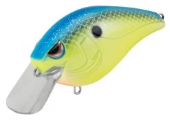 SPRO Hunter 65 SB Shallow Squarebill Crankbait -Hot Sale Angling Store SEHTRSB65CBL ChartBlue