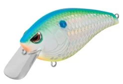 SPRO Hunter 65 SB Shallow Squarebill Crankbait -Hot Sale Angling Store SEHTRSB65CSD CitrusShad b04981bd 884e 4dd4 ac9c 6eed21094869