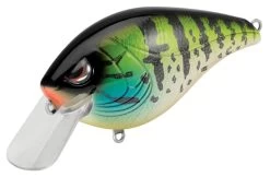 SPRO Hunter 65 SB Shallow Squarebill Crankbait -Hot Sale Angling Store SEHTRSB65PPS PumpkinSeed
