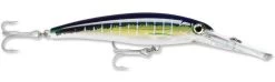 Rapala X-Rap Magnum 40 Big Game Slash Bait 36 Rapala X-Rap Magnum 40 Big Game Slash Bait -Hot Sale Angling Store Sailfish UV 49f7a10f d6dd 4b31 86c5 efe898da306a