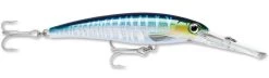 Rapala X-Rap Magnum 40 Big Game Slash Bait 41 Rapala X-Rap Magnum 40 Big Game Slash Bait -Hot Sale Angling Store Wahoo UV 2c4c9f3b 81da 4158 a671 69dfaa66e472