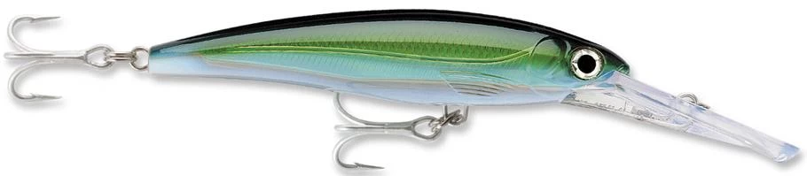 Rapala X-Rap Magnum 15 Big Game Slash Bait 21 Rapala X-Rap Magnum 15 Big Game Slash Bait - Image 19
