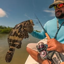 Daiwa Ballistic LT MQ Spinning Reels -Hot Sale Angling Store ballistic mq lt