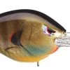 SPRO Fat Papa 55 Medium Diving Crankbait 2 SPRO Fat Papa 55 Medium Diving Crankbait -Hot Sale Angling Store bluegill
