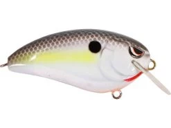SPRO John Crews Fat John 60 Shallow Crankbait 22 SPRO John Crews Fat John 60 Shallow Crankbait -Hot Sale Angling Store nasty shad