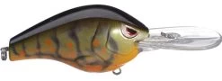 SPRO Fat Papa 70 Deep Diving Crankbait 33 SPRO Fat Papa 70 Deep Diving Crankbait -Hot Sale Angling Store olive craw 9f3f7527 ceb3 488d 8054 6c78f77e9e9a