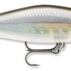 Rapala Shadow Rap Shad Deep 09 Jerkbait 1 Rapala Shadow Rap Shad Deep 09 Jerkbait -Hot Sale Angling Store sdrsd09ghsh Ghost Shiner 52772480 e43d 4f6a 8453 9d72d714b76b