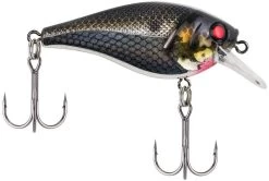 Berkley SquareBull 2 3/8 Inch Shallow Squarebill Crankbait 24 Berkley SquareBull 2 3/8 Inch Shallow Squarebill Crankbait -Hot Sale Angling Store squarebull black silver a43ada4f f3fc 4f83 abd8 116ee7b133b0