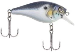 Berkley SquareBull 2 3/8 Inch Shallow Squarebill Crankbait 25 Berkley SquareBull 2 3/8 Inch Shallow Squarebill Crankbait -Hot Sale Angling Store squarebull blue black 785f5c02 8d74 4391 8cff efb332981a52